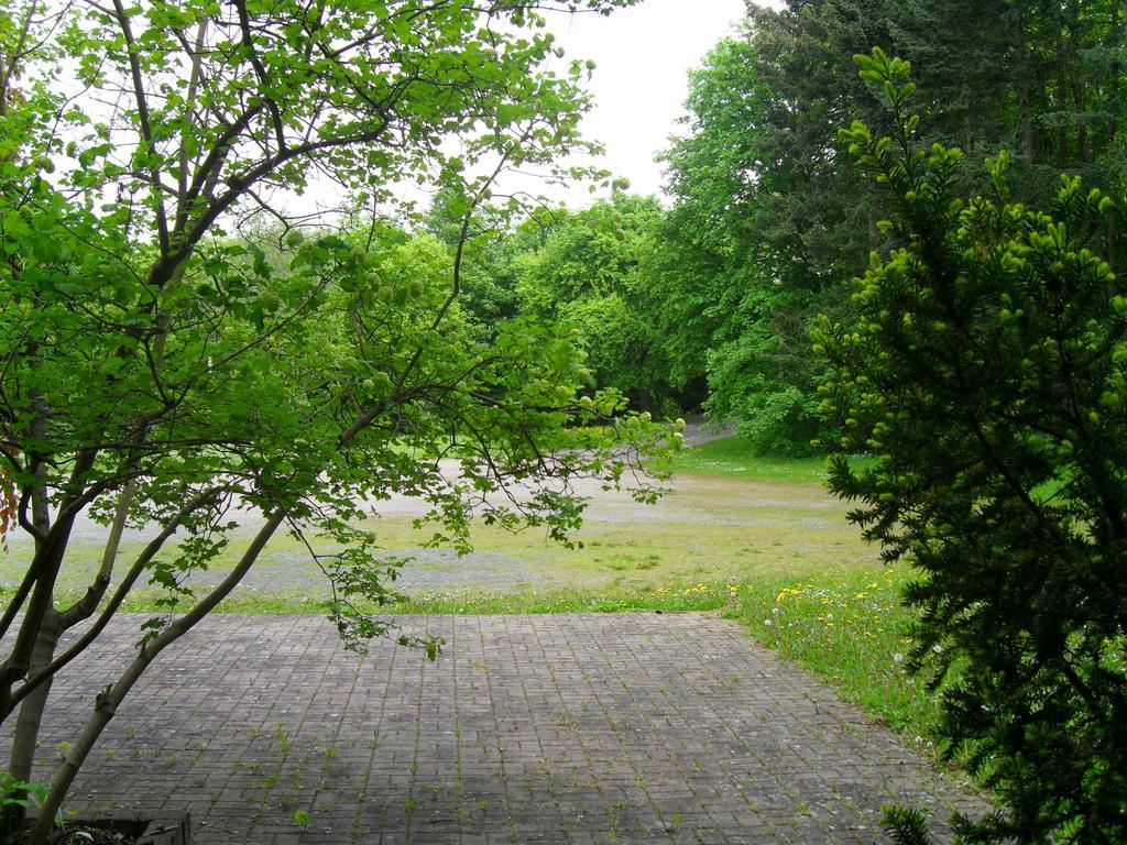 Motel Zur Festwiese Gierstädt Exterior foto